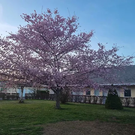 The Originals Access, Le Lutea فندق